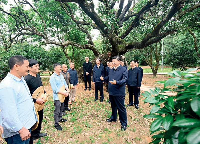PG电子·(中国)官方网站