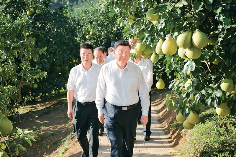 PG电子·(中国)官方网站